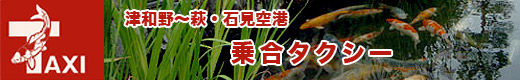 観光リンク