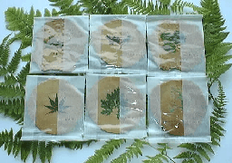 senbei.jpg