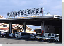 �v�c���Y���n�������s��