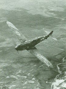 ��������̂a���P�O�X�f�|�U�����^