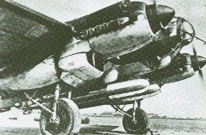 �P���p�k�s�e�T���q�󋛗��Q�{�����݂��ė����Ɉڂ�g���P�P�P�g�|�U