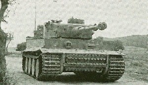 �C�M���X�R�ɕߊl����A�e�X�g���󂯂�e�B�[�K�[�T