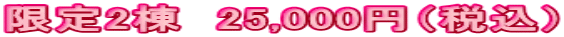 ����2���@25,000�~�i�ō��j