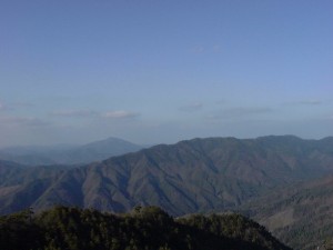 �쓹�R�A�\��P������